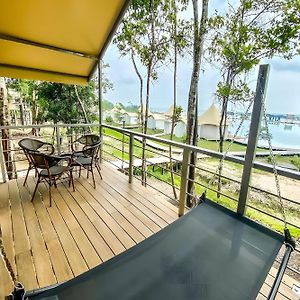 Treehouse Lodge